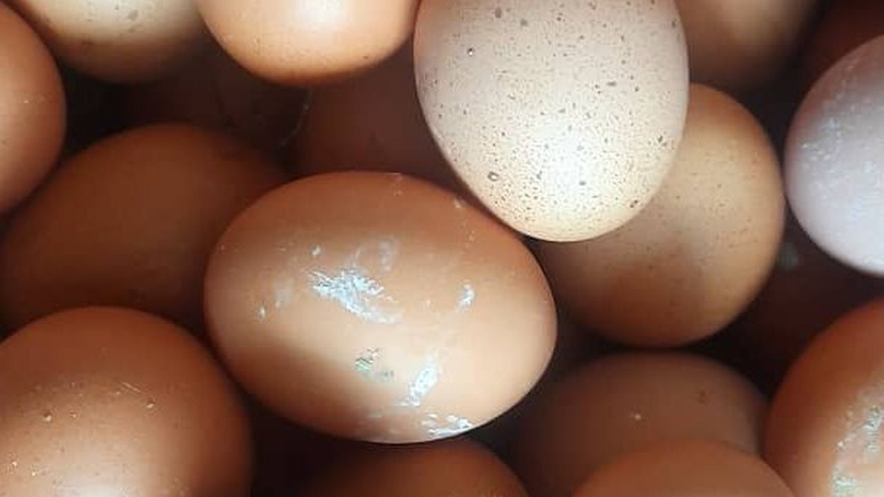 Jangan Dicuci, Ini Cara Jaga Higienitas Telur dengan Tepat Selama Disimpan