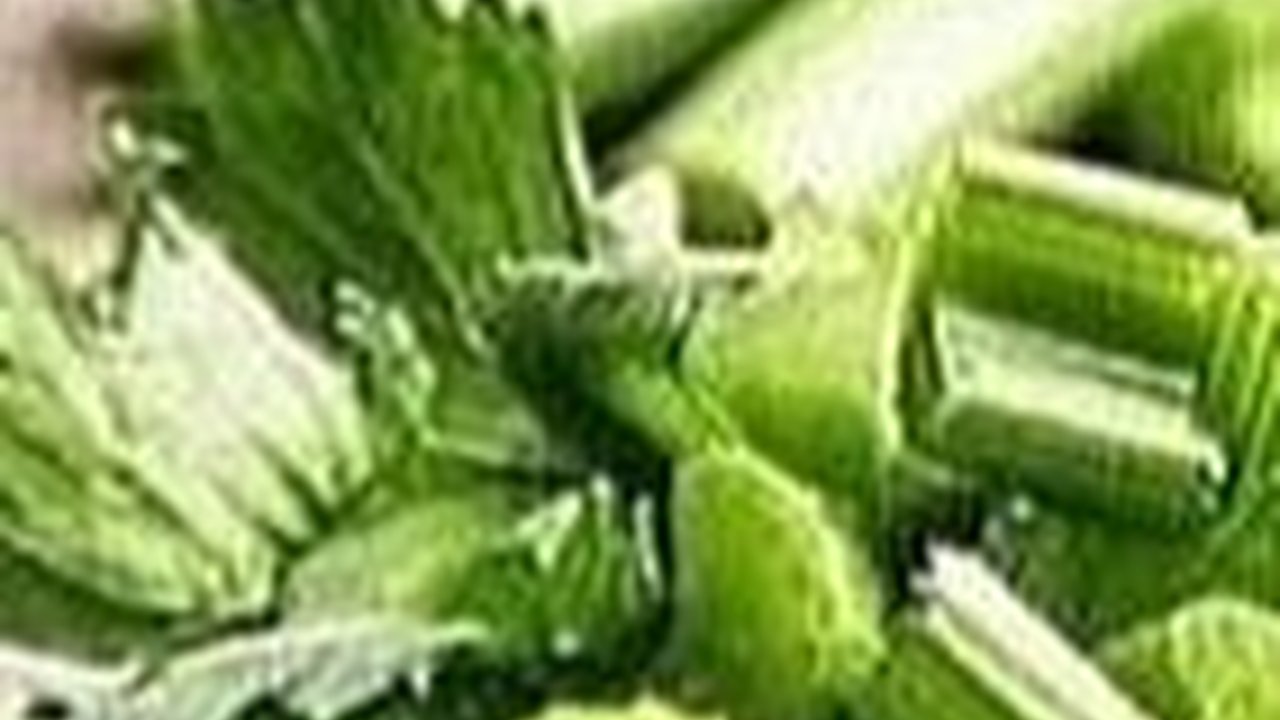 Tanpa Dimasukkan Freezer atau Direndam, Ini Cara Simpan Seledri Biar Tetap Awet Segar Selama 3 Minggu