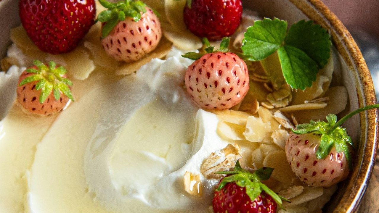 Proses Pembuatan Yogurt dan Aturan Pengemasannya, Perlu Diketahui