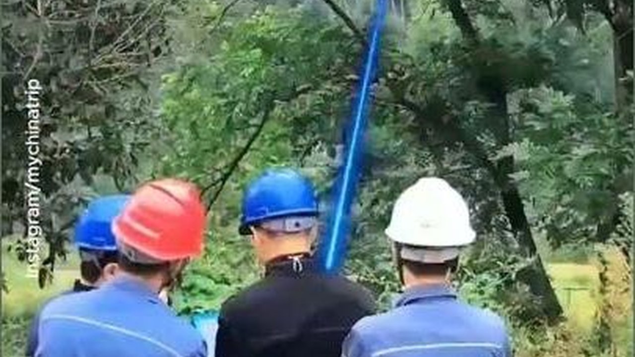 VIDEO: Cara Ilmuwan China Kembangkan Sinar Laser untuk Menebang Pohon