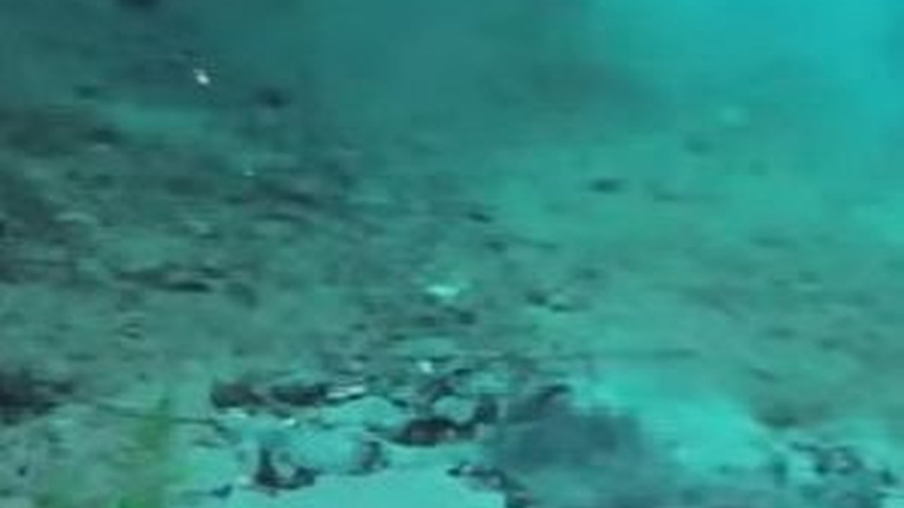 Desa di Magelang Ini Punya Mata Air Abadi, Sumber Air Jernih Melimpah Muncul dari Dasar Kolam