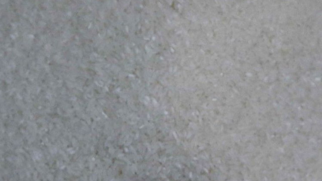 Bulan Puasa, Bapanas Jamin Harga Beras Turun Rp2.000 per kg