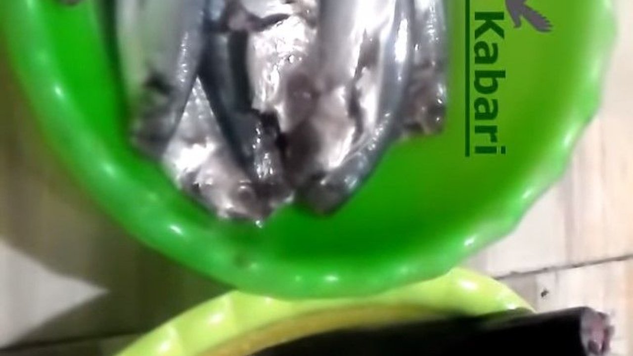 Hanya dengan Satu Bahan, Ini Tips Netralkan Formalin pada Ikan Segar