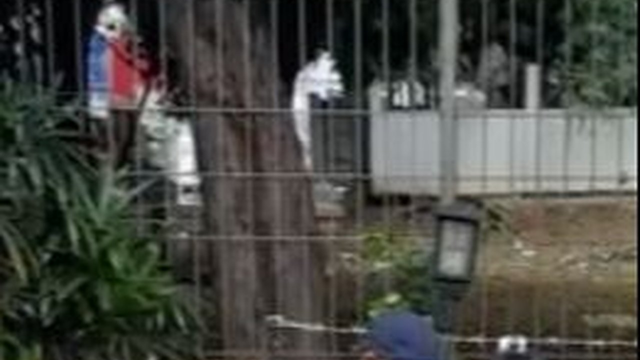 Viral Momen Bocah Jualan Ditemani Sang Kakek, Bahagia saat Dagangannya Diborong