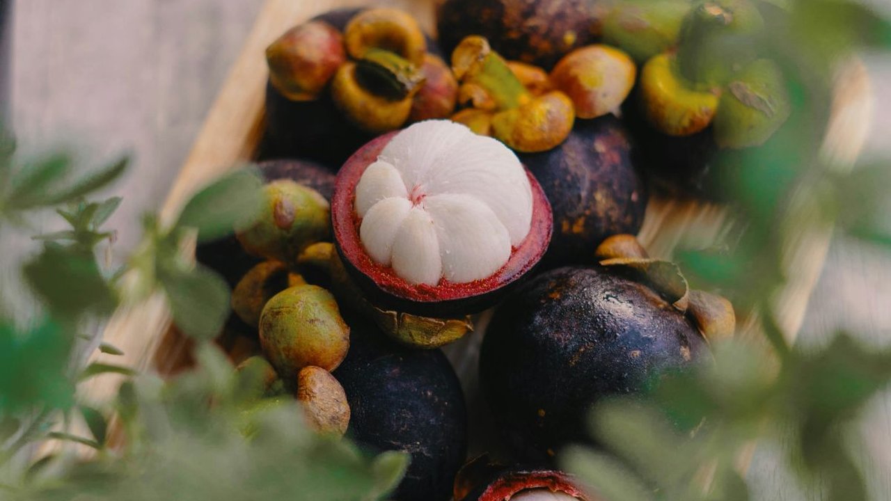 Murah dan Simpel, Begini Cara Memasak Kulit Manggis untuk Turunkan Kolesterol