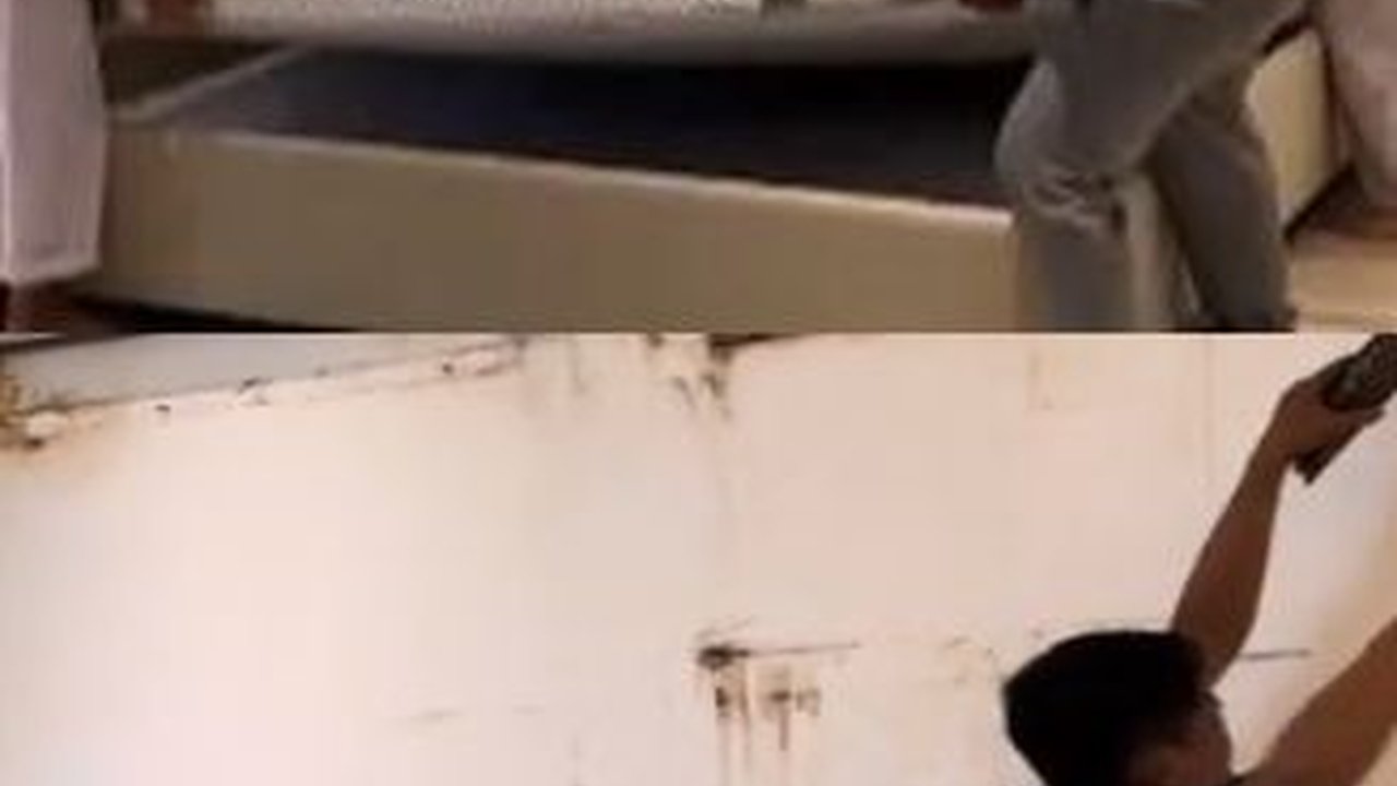 Viral Aksi Wanita Bongkar Kamar karena Ada Bau Tak Sedap hingga Gampang Kelelahan, Ternyata Ini Penyebabnya