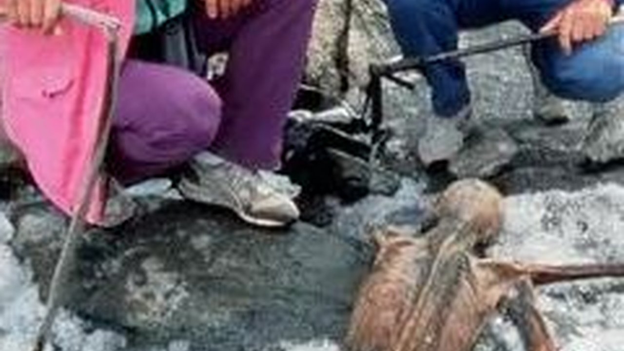 Suami Istri Ini Tersandung Sesuatu Saat Naik Gunung, Ternyata Mayat Manusia Berusia 5.300 Tahun