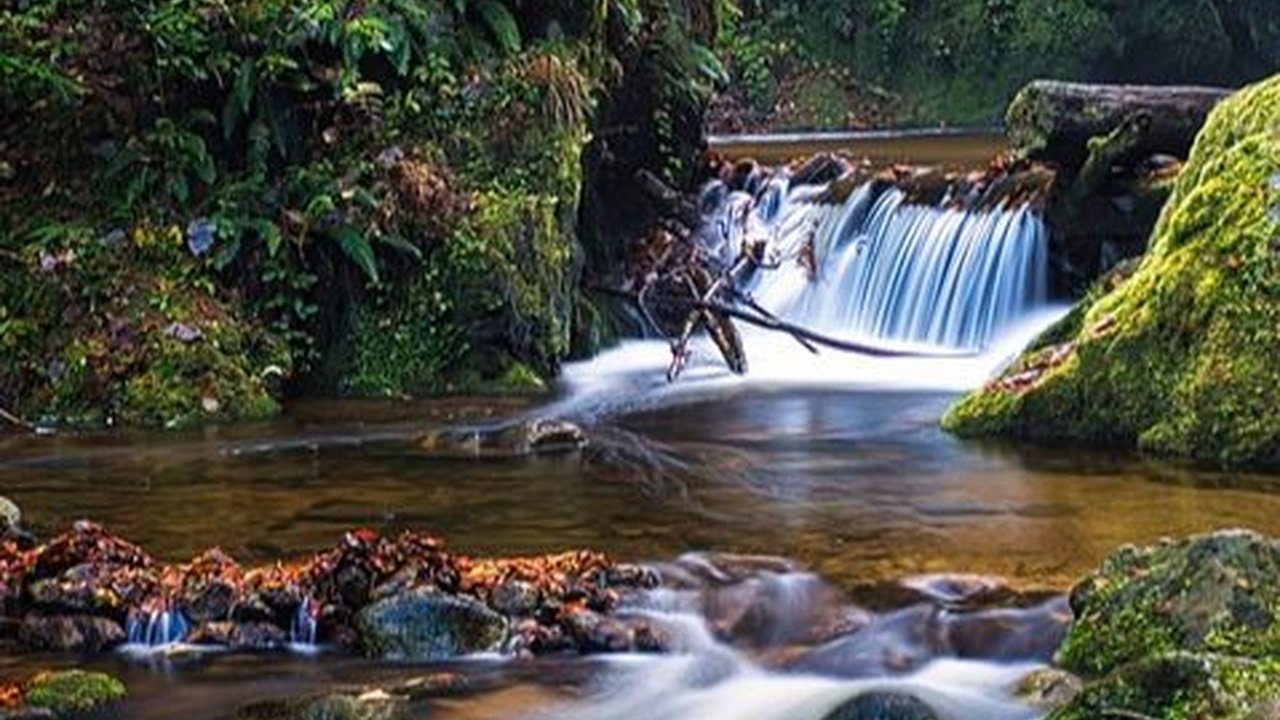 Wisata Alam Jogja Terbaru, Cocok untuk Destinasi Liburan