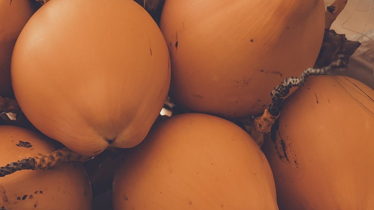 Pemerintah Bakal Sulap Buah Kelapa Tak Layak Konsumsi Jadi Bahan Bakar Pesawat