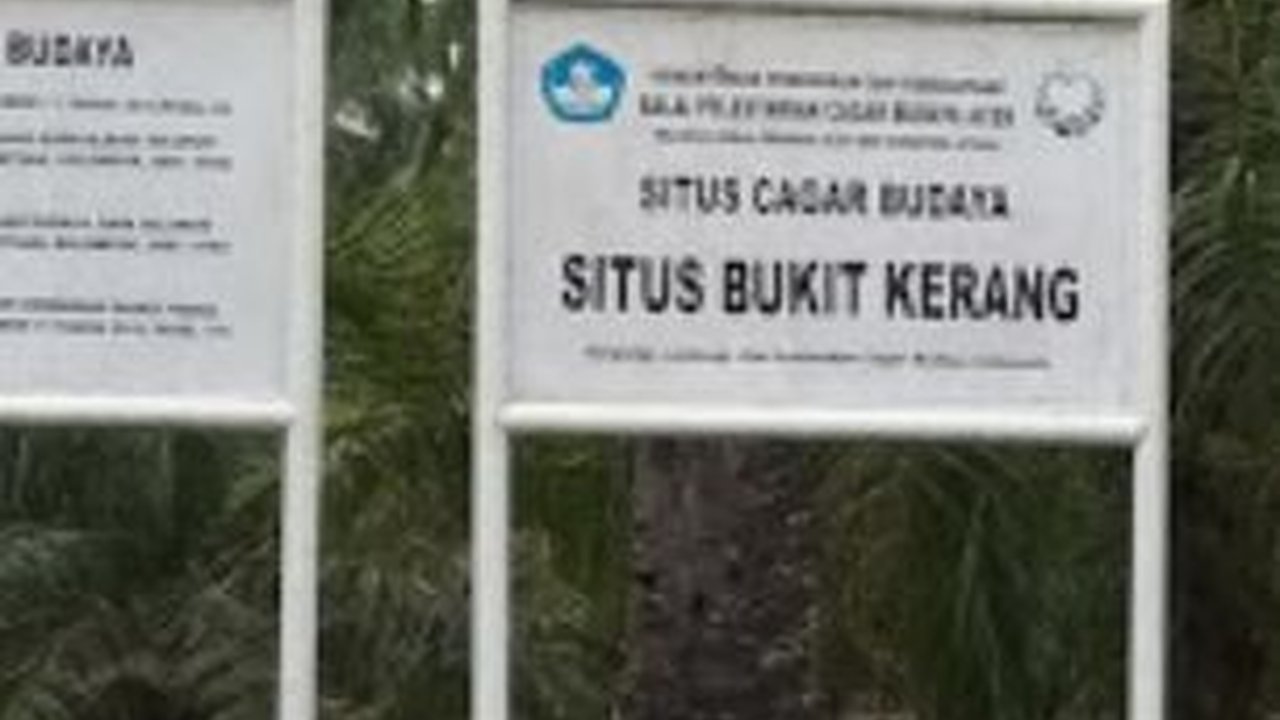 Banyak Ditemukan Sampah Molusca, Ini Fakta Menarik Situs Bukit Kerang di Aceh Tamiang