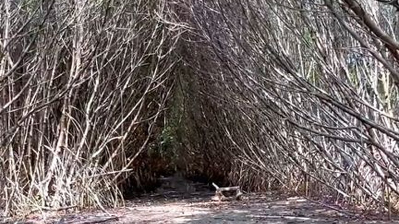 Belum Banyak Didatangi, Yuk Intip Eksotisnya Pulau Burung di Subang yang Jadi Hidden Gems