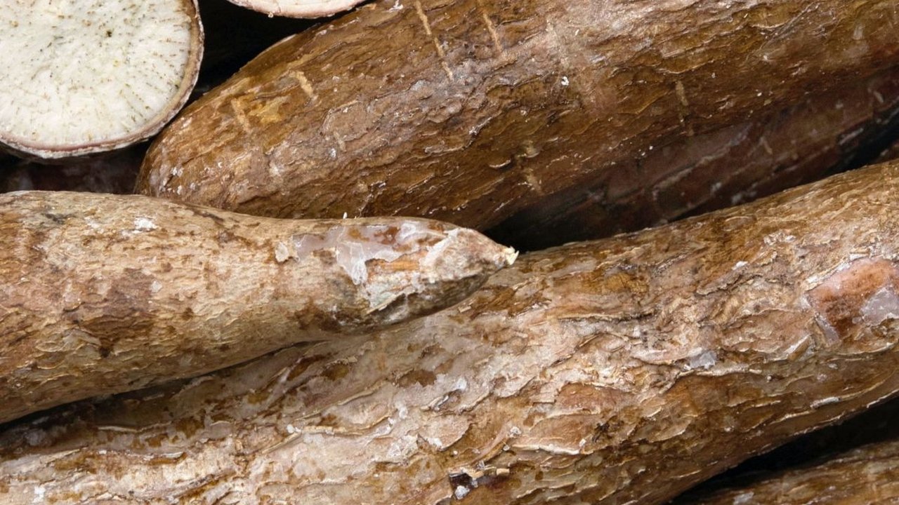 Harga Beras Mahal, Warga Lebak Terpaksa Beralih Makan Singkong