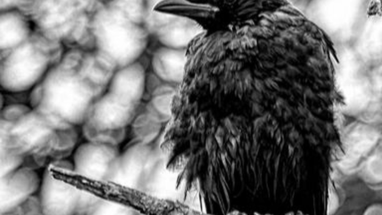 7 Contoh Cerita Rakyat Mitos di Indonesia, Menarik Dibaca