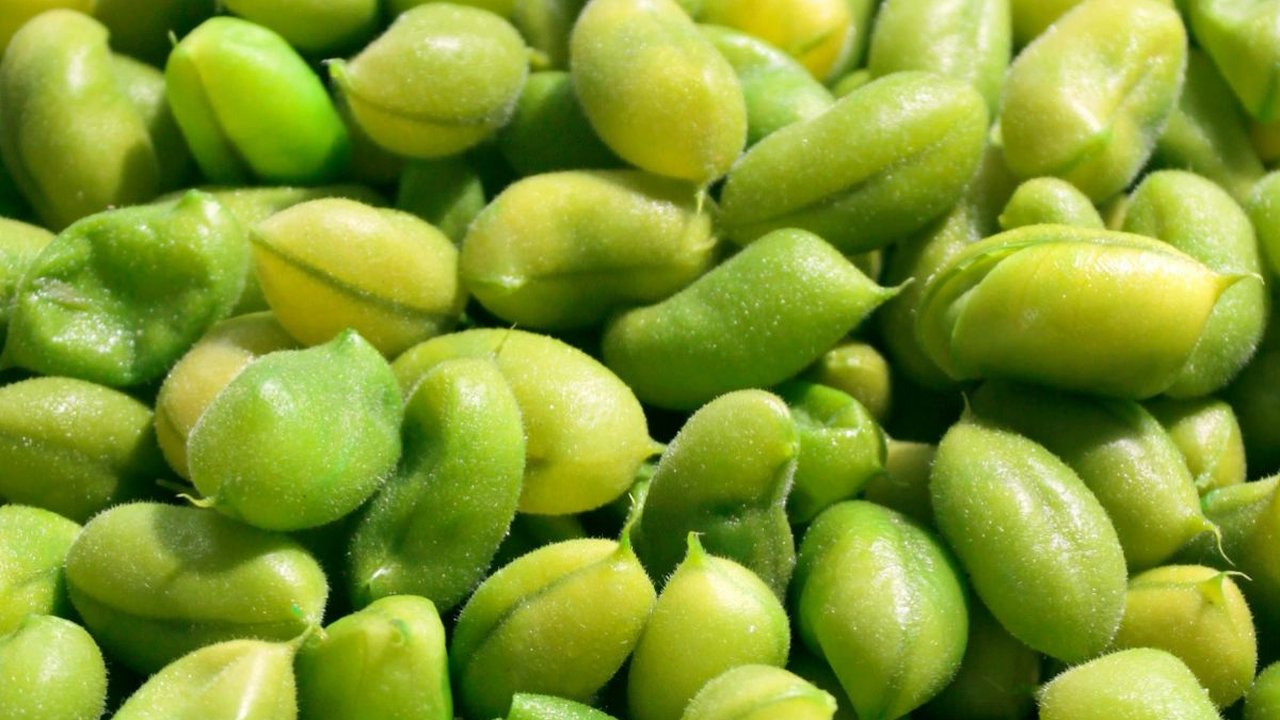 Manfaat Kedelai untuk Kesehatan Cocok untuk Kontrol Berat Badan