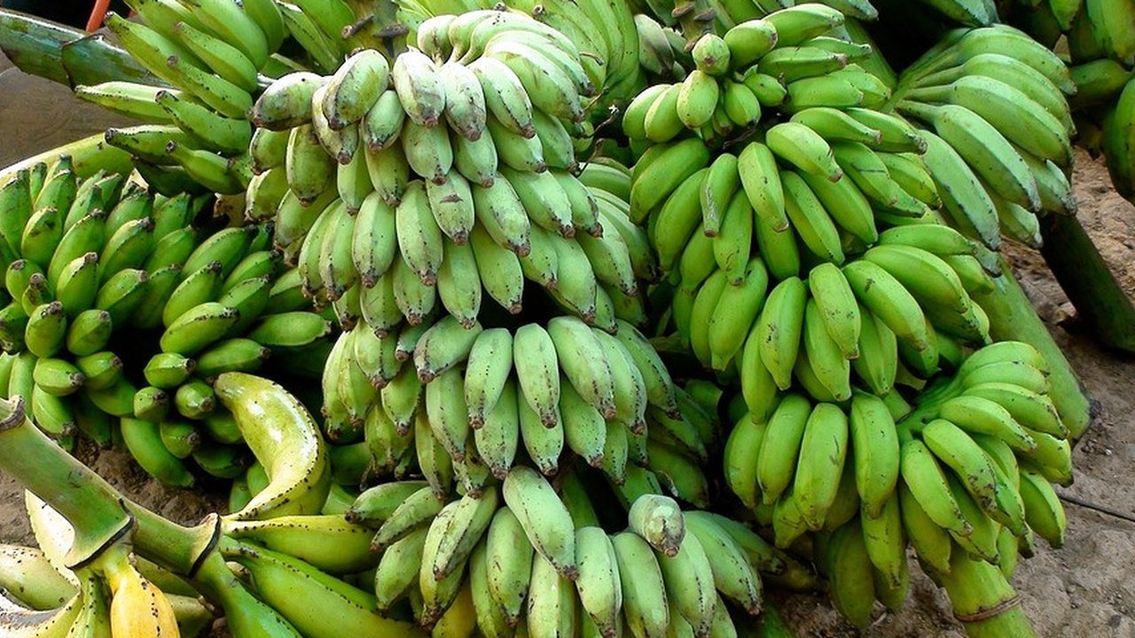 Ilustrasi Pisang Mentah (pixabay.com)