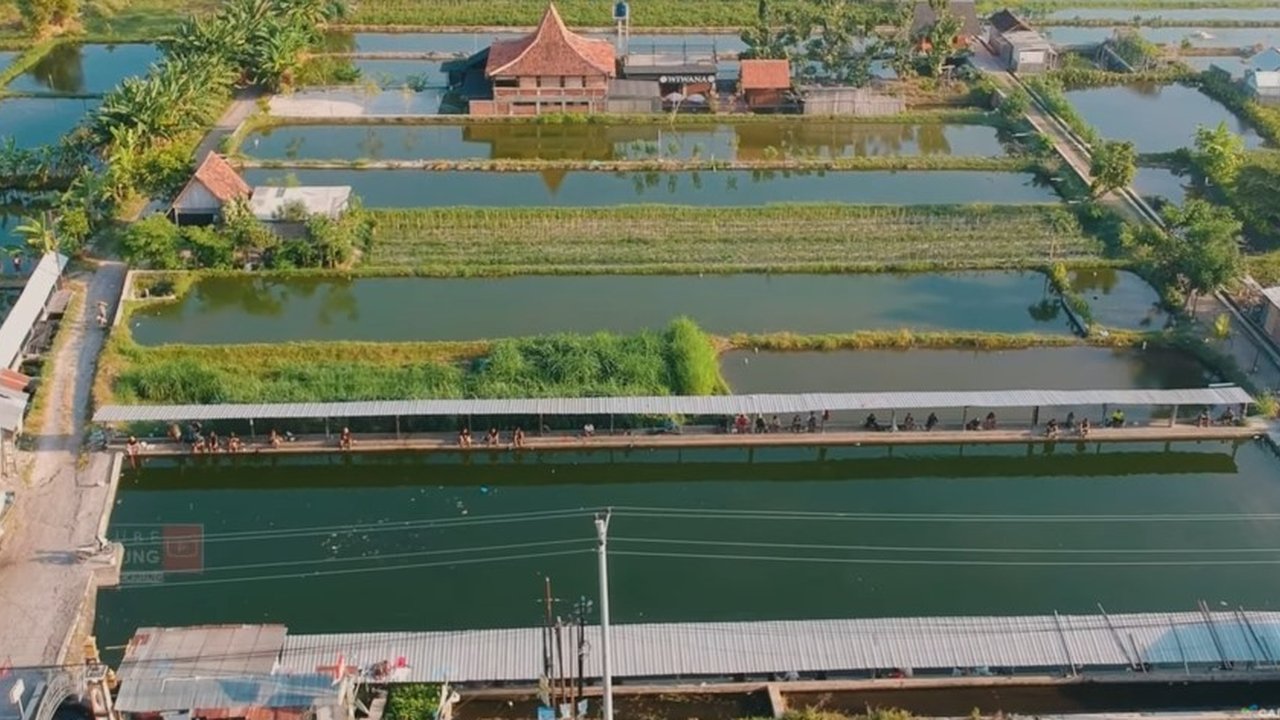 Pemancingan Ikan Kadisoka