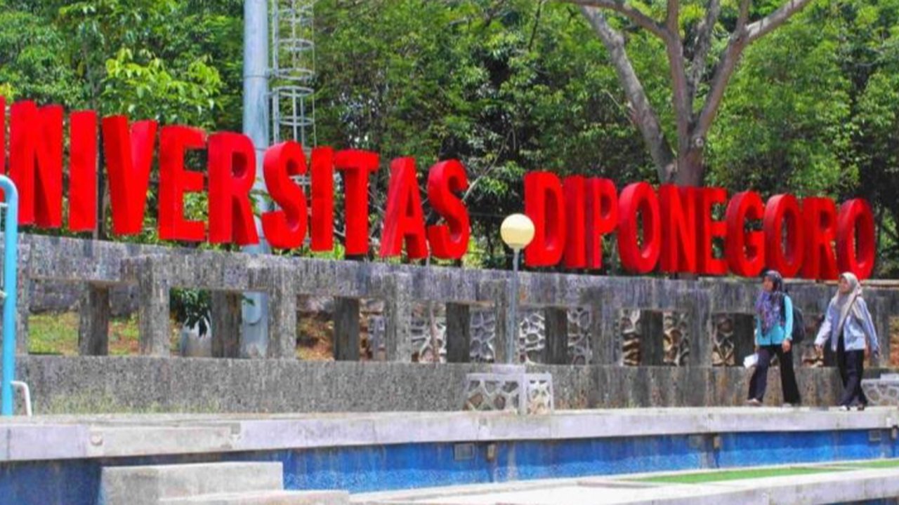 Undip