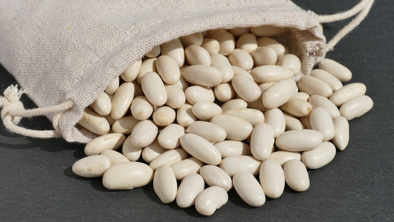 kacang putih