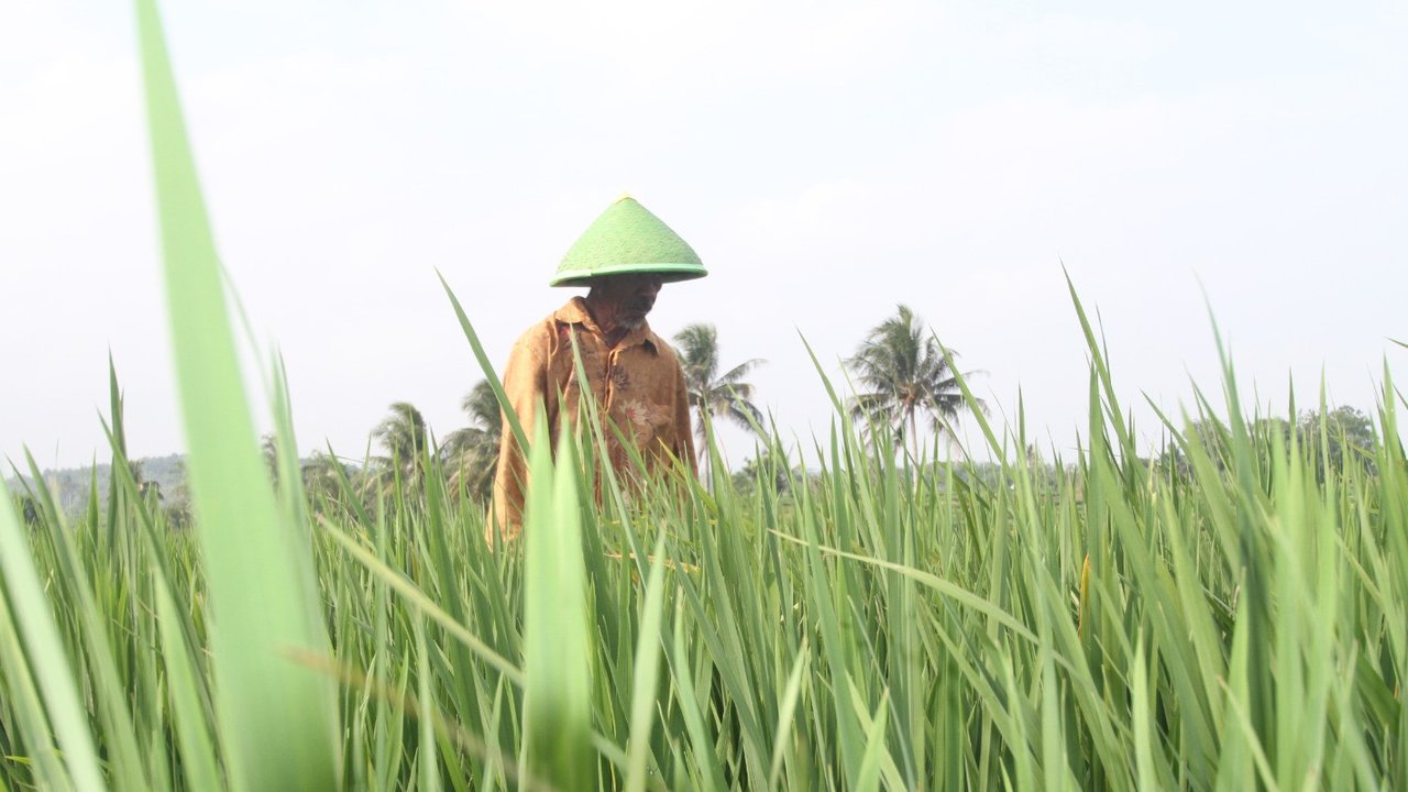 Ilustrasi bercocok tanam, menanam padi, petani, sawah. (Image by rawpixel.com on Freepik)