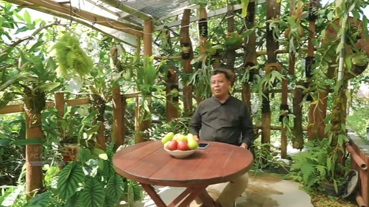 Pria Magelang Resign dari Kapal Pesiar lalu Dirikan Kebun Buah