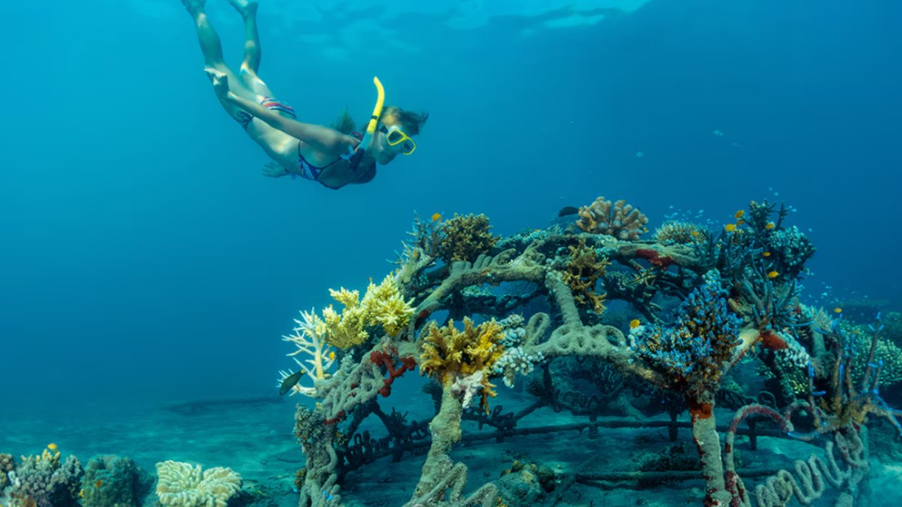 Desa Wisata Pemuteran Bali