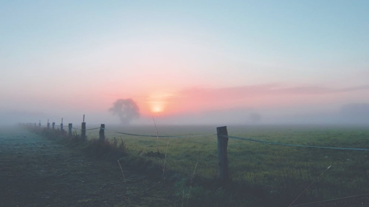 Manfaat Menghirup Udara Pagi bagi Tubuh