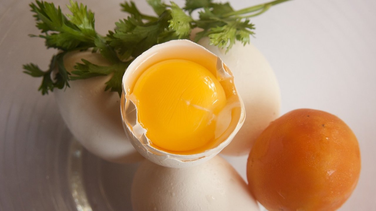 telur