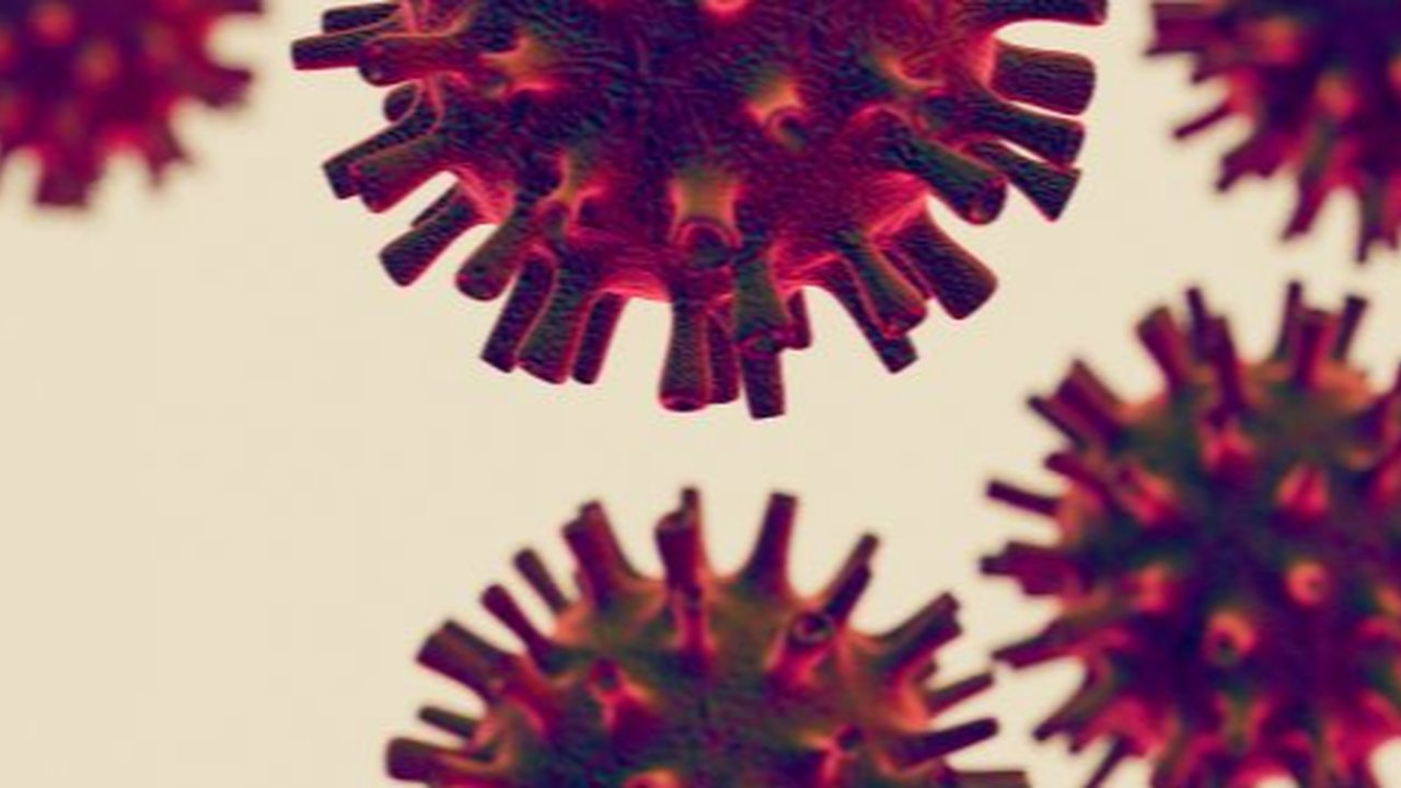 How to prevent mpox.