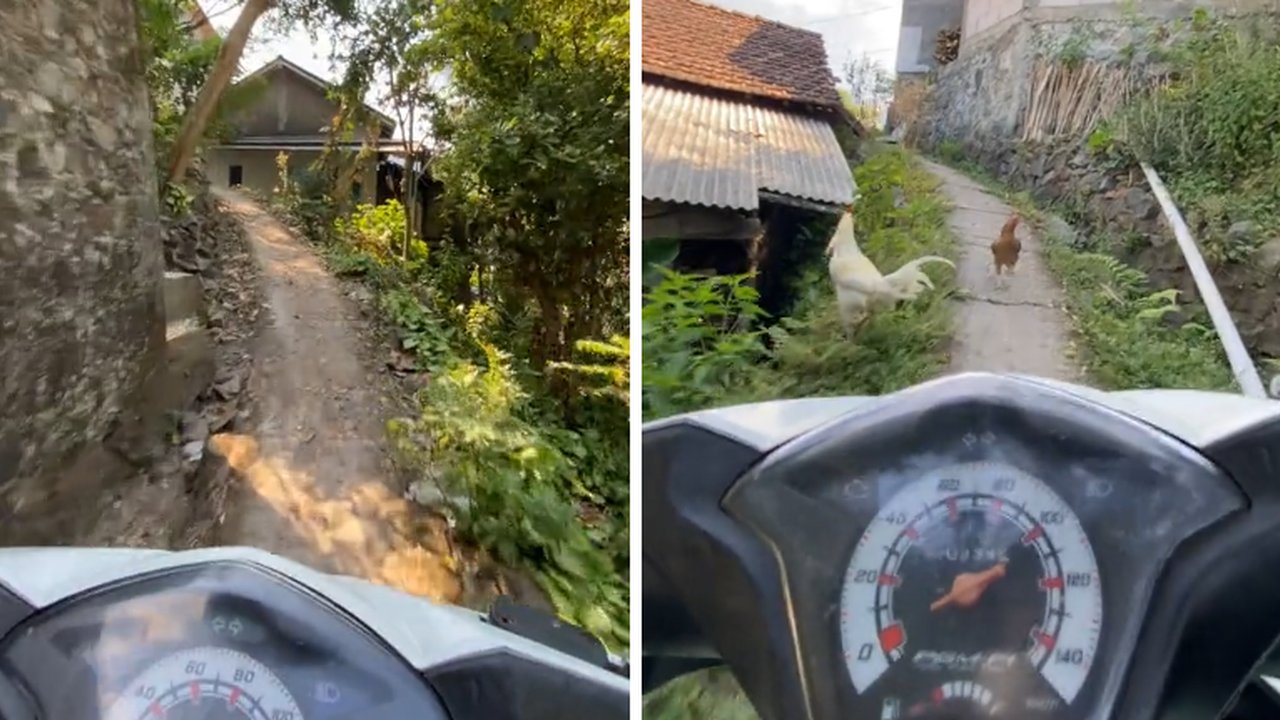 Viral Momen Kurir Lewati Jalanan Ekstrim di Desa Jepara, Aksinya Bikin Ngeri Warganet