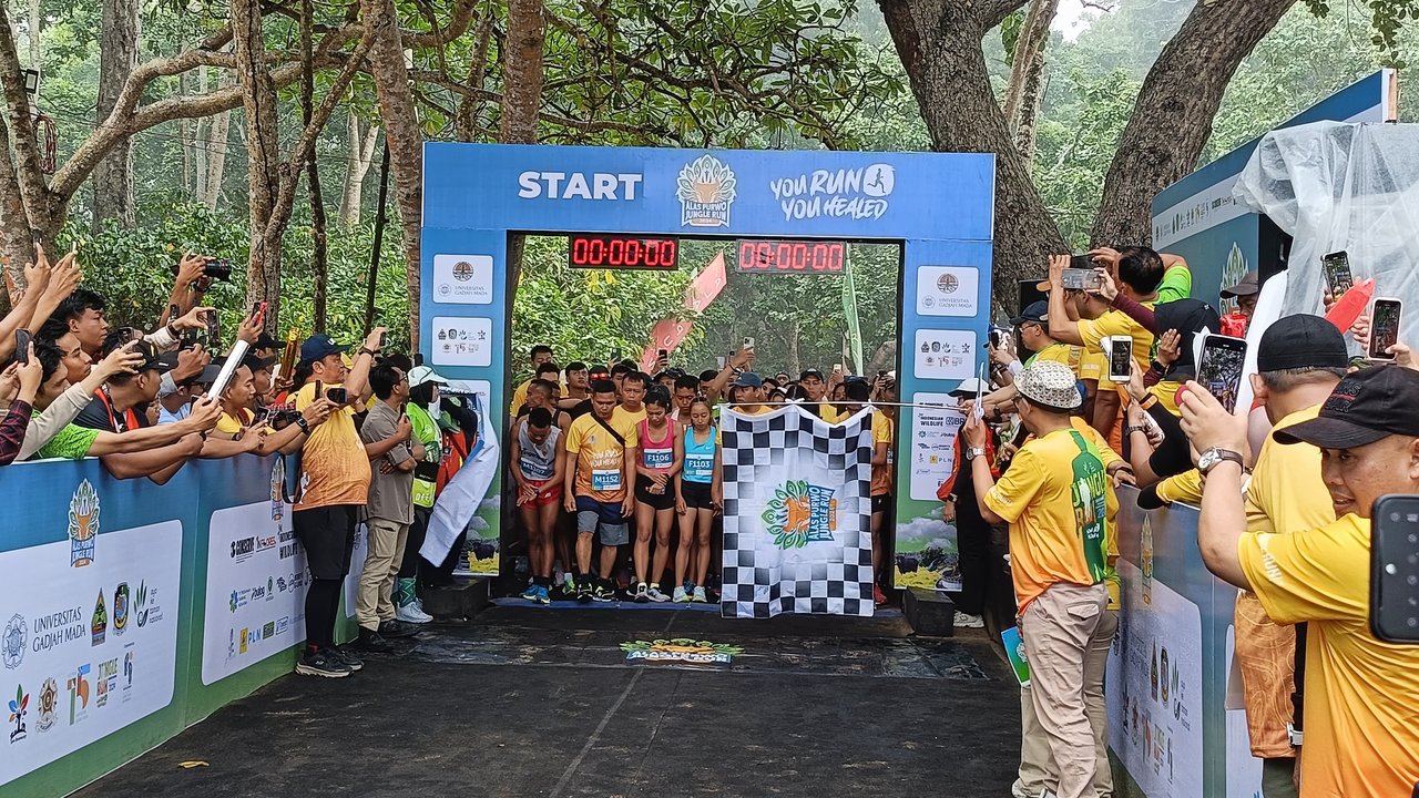 Alas Purwo Jungle Run