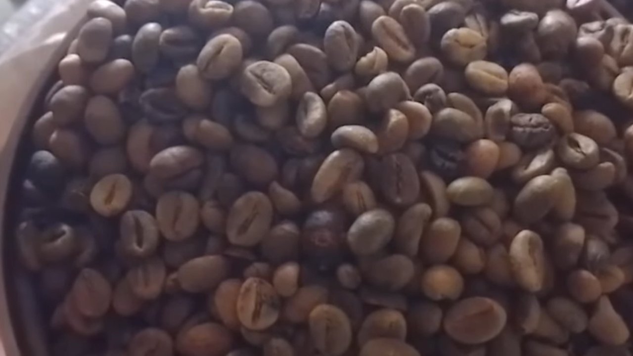 Kopi khas Lebak