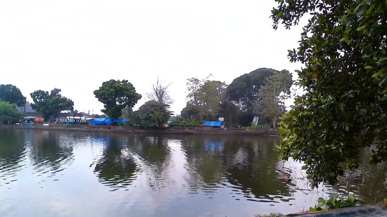 Situ Cikaret Cibinong