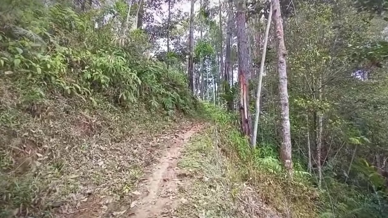 Kampung Terpencil di tengah hutan Banyumas
