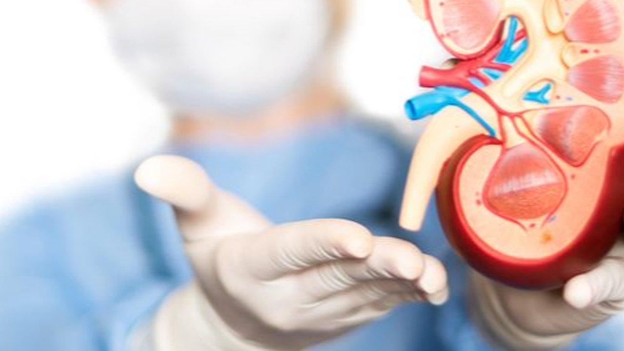 Gagal ginjal kronis bisa jadi penyakit yang mengancam. Cari tahu metode penanganan yang tepat!