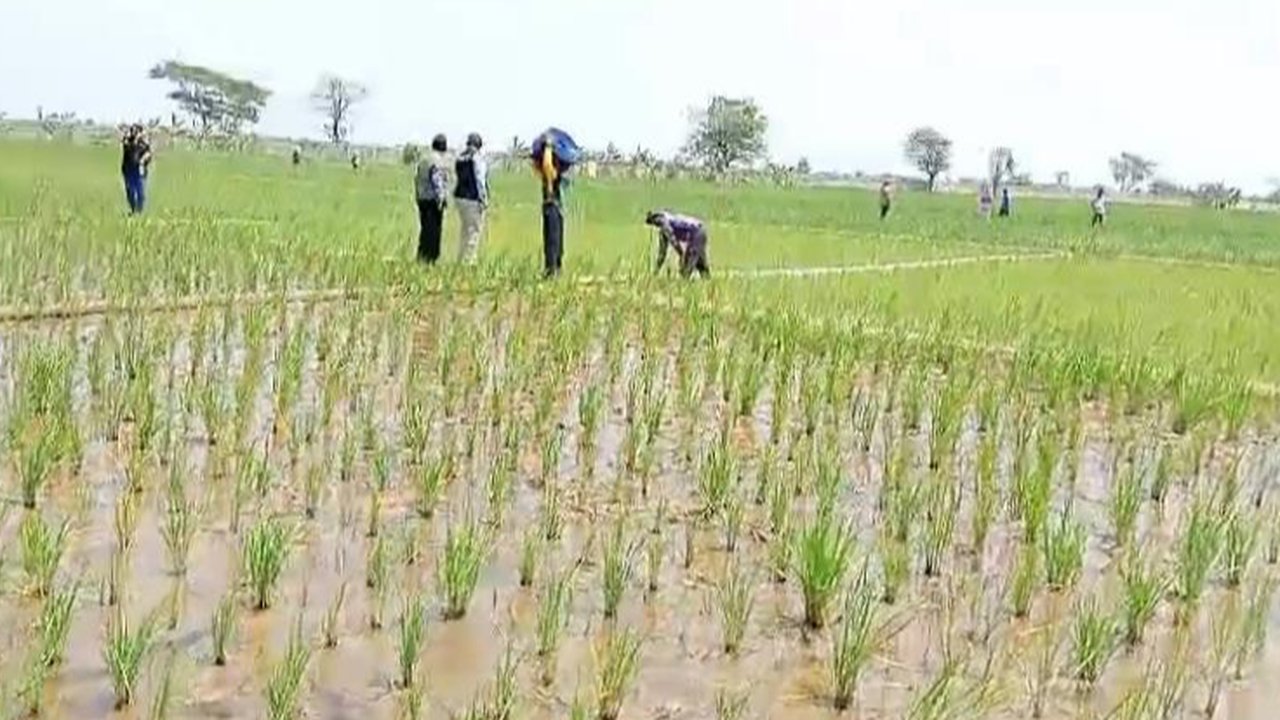 Kementan beri bantuan pompa air untuk atasi kekeringan di Subang