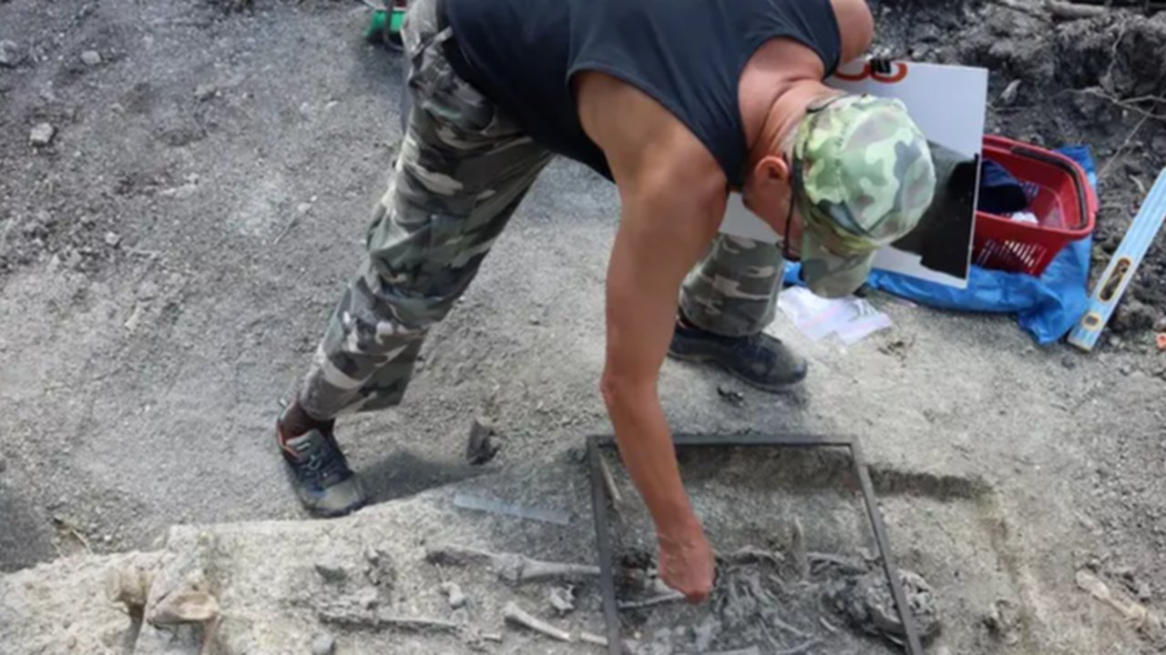 makam vampir di polandia