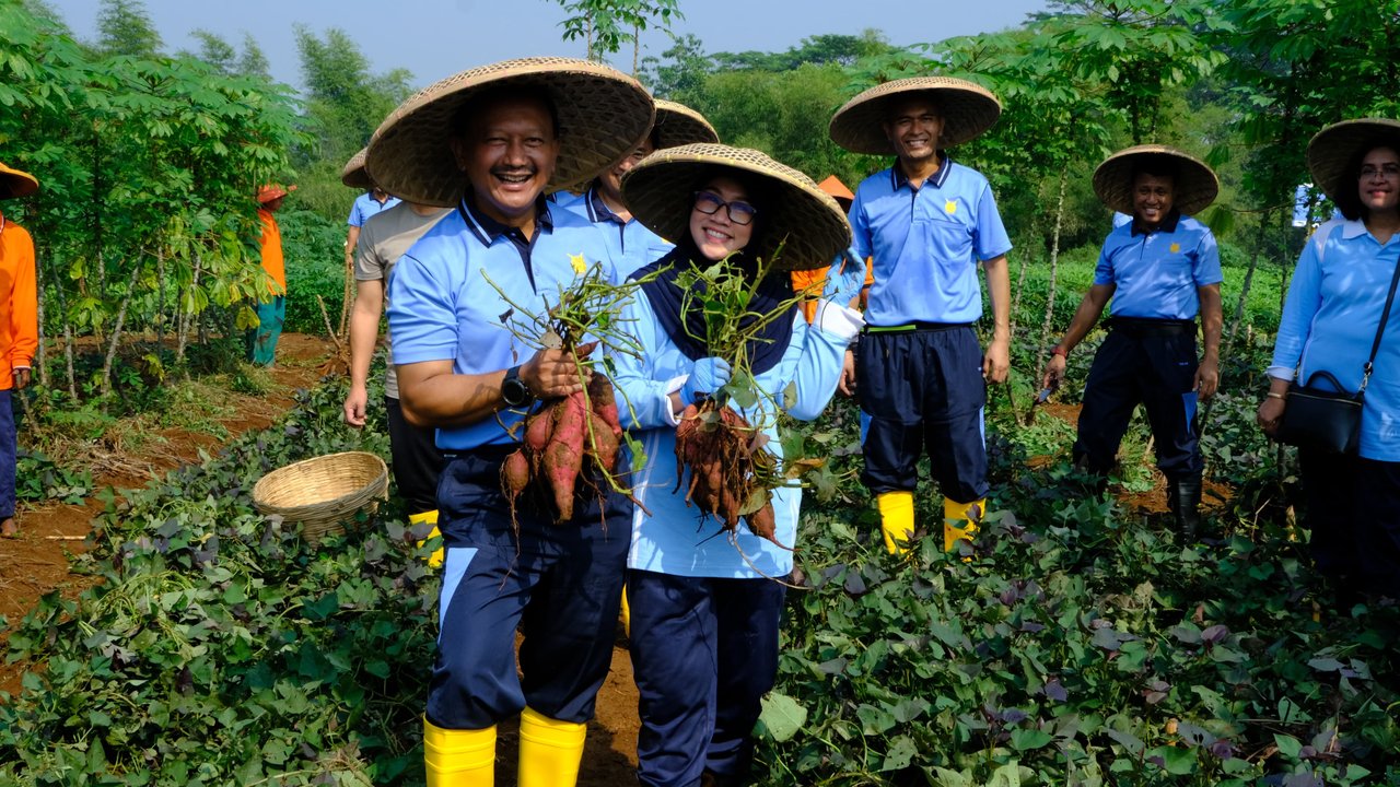 Momen Koopsudnas Panen Raya Jagung hingga Singkong di Bogor
