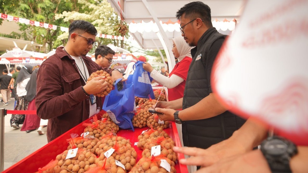 Pemberdayaan BRI Bikin Klaster Kelengkeng di Tuban Makin Bersinar