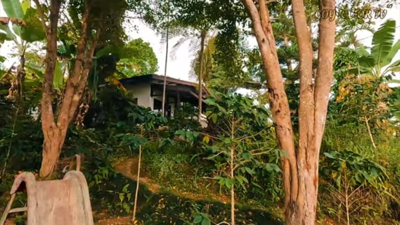 Ingat Advent Bangun Aktor Laga? Begini Potret Rumah Mewahnya Terbengkalai Halamannya Luas Banget