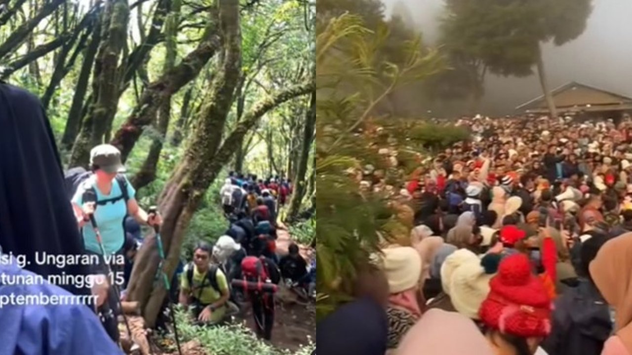 Tak Cuma Puncak, Potret Jalur Pendakian Gunung Ramai dan Macet Melihatnya Bikin Sesak