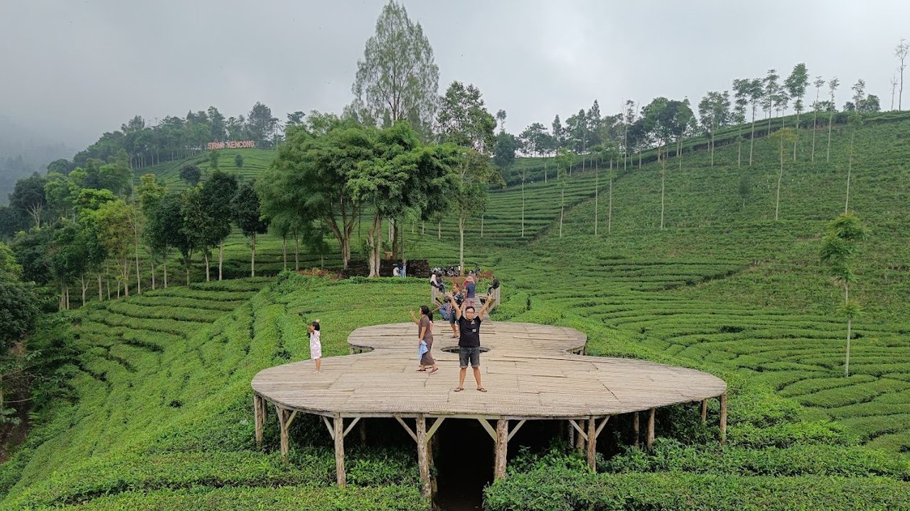 Kebun Teh Sirah Kencong Blitar