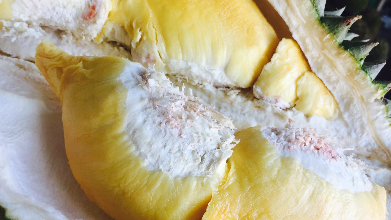 Apakah Durian Mengandung Kolesterol? Simak Penjelasan Kandungannya