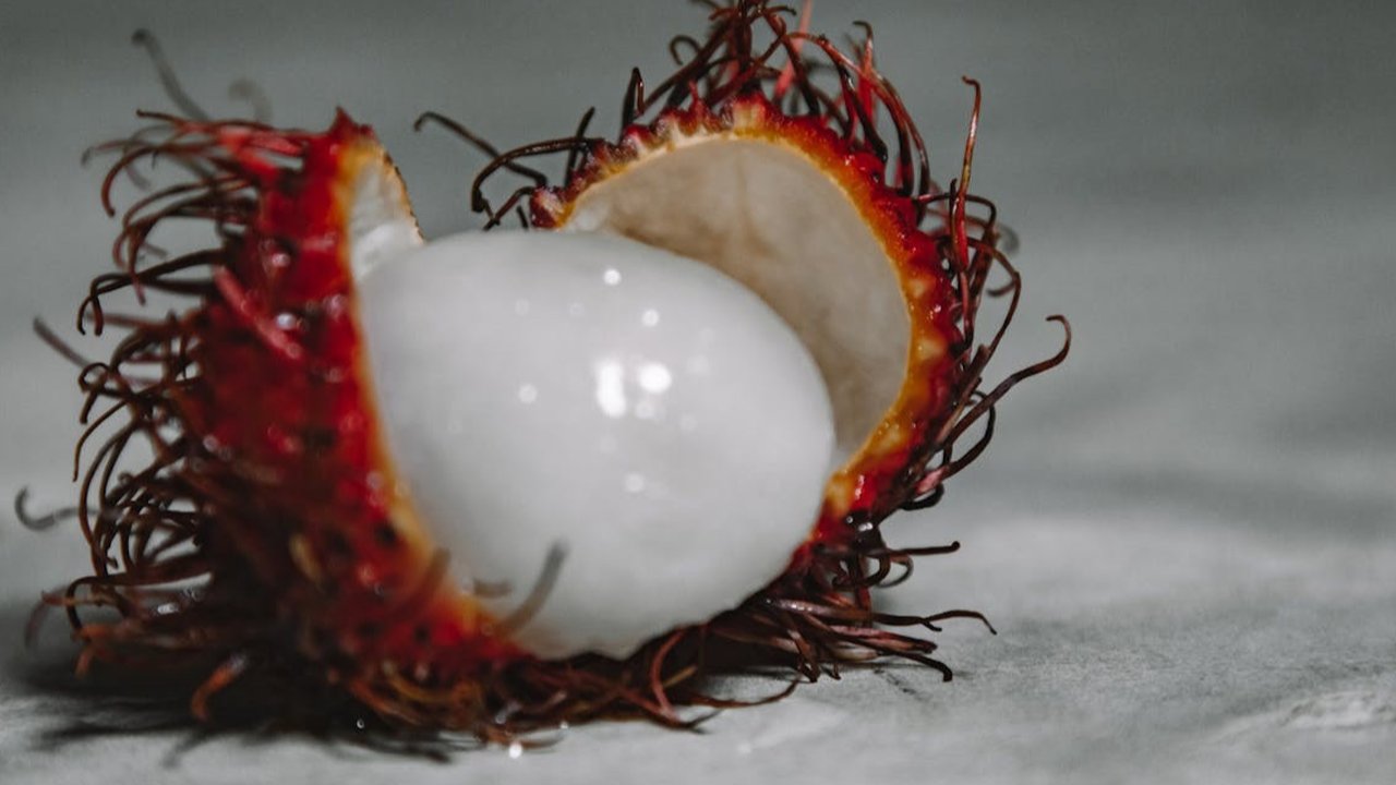 Ilustrasi Rambutan
