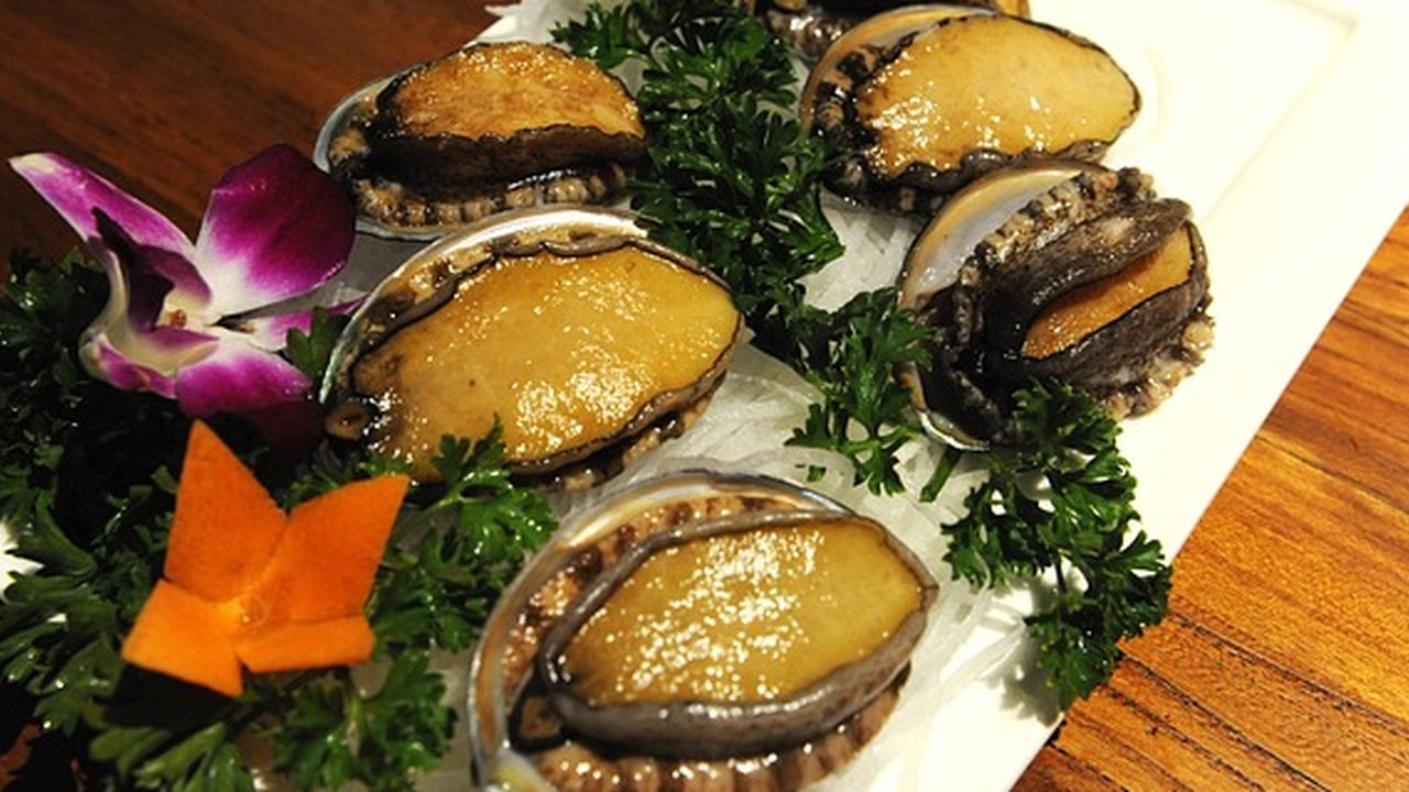kerang abalon