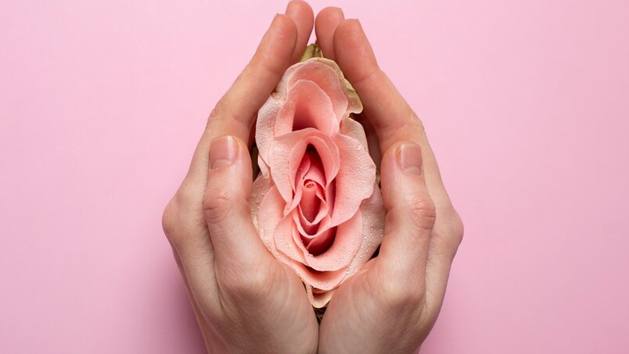 Ilustrasi Vagina