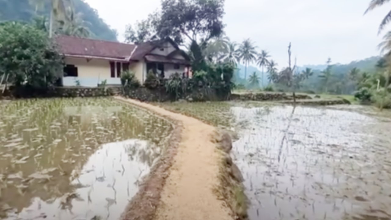 Pria Lanjut Usia Hidup Damai di Tengah Sawah Bareng Istri Muda, Rumahnya Luas dan Bersih