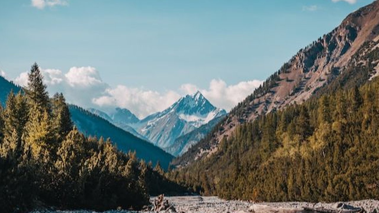 Swiss National Park, the gateway to the diverse wildlife of Switzerland.