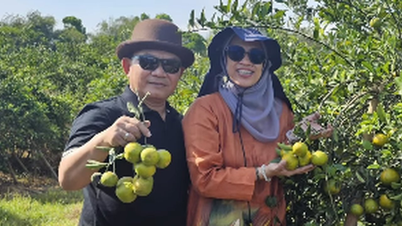 Momen Eks Kasad Panen Jeruk