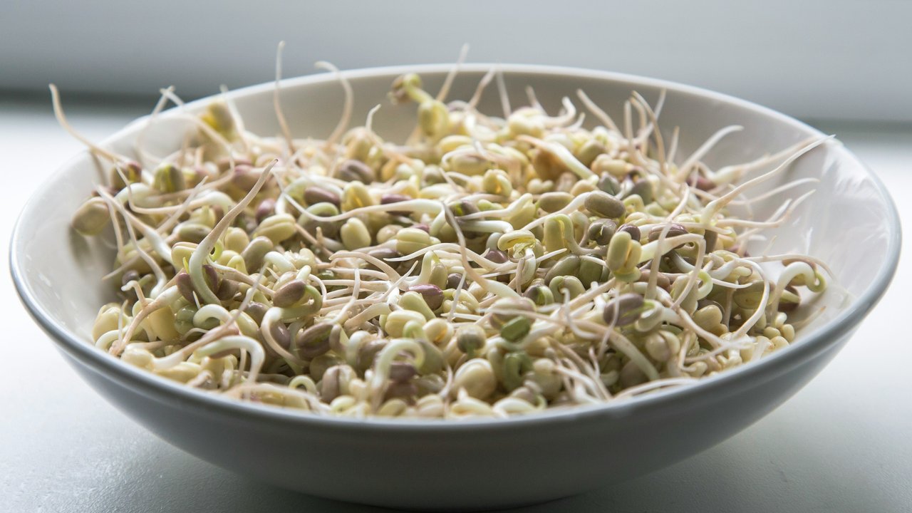 Cara Makan Tauge untuk Kesuburan Pria, Ketahui Manfaatnya