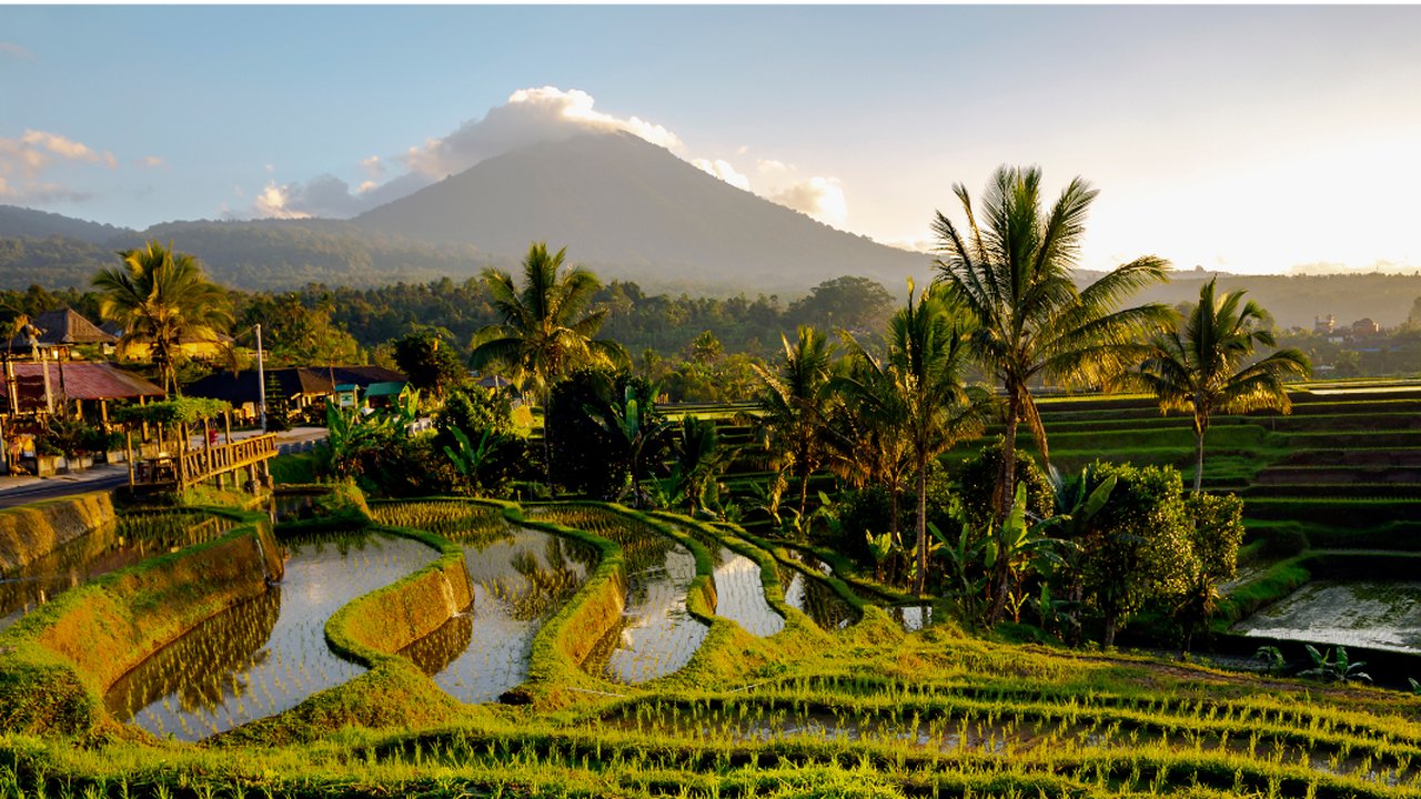 Subak Piak Penebel Tabanan
